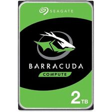 Seagate barracuda 2tb usato  Rho