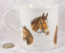 Leonardo collection racehorse for sale  CAMELFORD