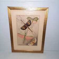 Vintage Framed Print Orthoptera by F. W. Frohawk 1896 for sale  Shipping to South Africa
