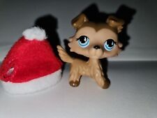 Autentyczna figurka Littlest Pet Shop LPS # 893 Collie Dog Brązowa na sprzedaż  PL