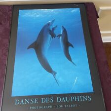 dolphin framed picture for sale  Bear
