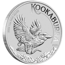 Kookaburra 2024 silver d'occasion  Expédié en Belgium