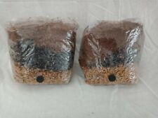 2 Bolsas de Cultivo de Hongos Todo en Uno Esterilizadas 3.5 lb BOLSA ORGÁNICA DE CRECIMIENTO ENVÍO RÁPIDO[A] segunda mano  Embacar hacia Mexico