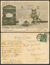 Cartão postal antigo gato gatinho 1903 um dia com jantar buceta Qual é o problema com sopa comprar usado  Enviando para Brazil