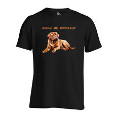 Dogue bordeaux dog for sale  BOLTON