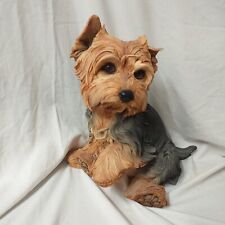 yorkie puppies for sale  STANFORD-LE-HOPE
