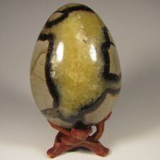 3.4 septarian dragon for sale  Acworth