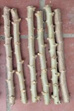 Cuttings cassava yuca for sale  Bonita Springs