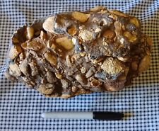 Piney river conglomerate for sale  Centerville