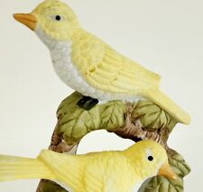 Yellow canary bird for sale  Cambridge