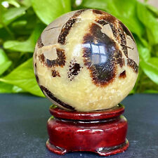 Bola de quartzo cristal casca de tartaruga natural terapia mineral 282G comprar usado  Enviando para Brazil