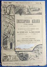 enciclopedia 900 usato  Italia