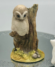 Teviotdale scotland owl for sale  WYMONDHAM