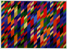 Nataraja bridget riley for sale  BARNSLEY