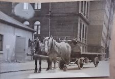 Pferdegespann pferdegeschirr gebraucht kaufen  Reichenbach im Vogtland