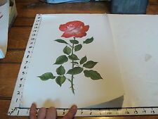 Large flower print for sale  Tilton