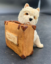 Sherratt simpson westie for sale  EXETER