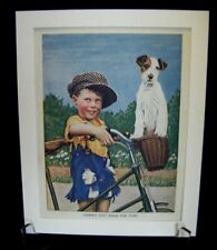 Vintage terrier dog for sale  TELFORD
