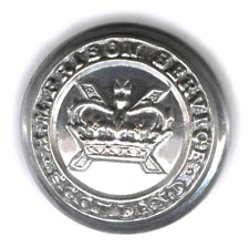 Prison service scotland for sale  IVER