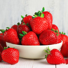Strawberry cambridge favourite for sale  UK