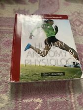 Human Anatomy and Physiology by Erin C. Amerman (2015, Trade Paperback) for sale  Shipping to South Africa