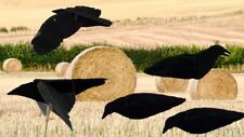 Set sillosocks crow for sale  LEICESTER