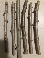 Cassava yuca cuttings for sale  Bonita Springs