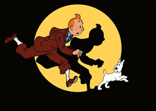 Collection tintin choix d'occasion  Mouans-Sartoux