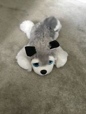 Husky soft cuddly for sale  DARTFORD