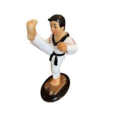 Taekwondo korea kicking for sale  Moscow