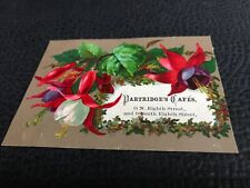 Usado, Flores fucsia colgantes de café de 1800 con tarjeta intercambiable victoriana hiedra  segunda mano  Embacar hacia Argentina