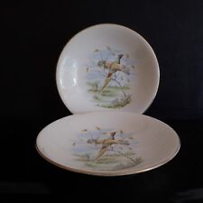 N2797 assiettes porcelaine d'occasion  Nice-