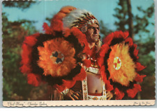 Vintage postcard chief for sale  Galva