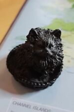 Little black cat for sale  CROOK