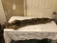 coyote skins for sale  Pottstown