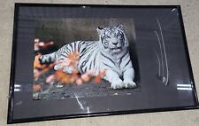 White tiger picture for sale  Joshua
