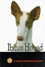 Good ibizan hound for sale  HEREFORD