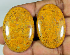 Used, 90Cts. Natural Marium Fossil Oval Cabochon Loose Gemstone 2Pcs Lot for sale  Shipping to South Africa