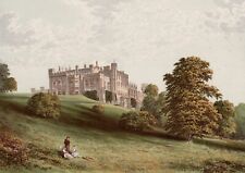 Antique english castle for sale  Belton