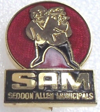 vintage enamel badge for sale  TAMWORTH