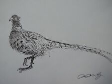 Original ornithological black for sale  ABERYSTWYTH