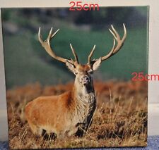Stag canvas wall for sale  WINCHESTER