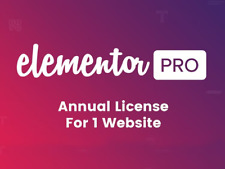 Licença Activate Elementor Pro com atualizações de 1 ano comprar usado  Enviando para Brazil