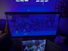 125 gallon aquarium for sale  Whitestone