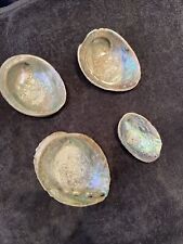 Abalone paua mother for sale  WALLASEY