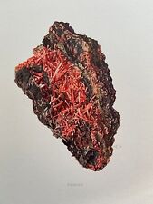 CROCOITE mineral print. Antique and vintage geology gemstone lithograph., used for sale  Shipping to South Africa