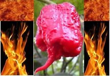 Semillas de pimienta súper picante lista de variedades raras Carolina Reaper Ghost Trinidad Chile, usado segunda mano  Embacar hacia Mexico