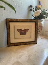 Framed butterfly print for sale  Arlington