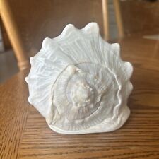 Horned helmet seashell for sale  Ankeny