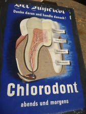 Chlorodont reklame werbeaufste gebraucht kaufen  Crottendorf, Walthersdorf